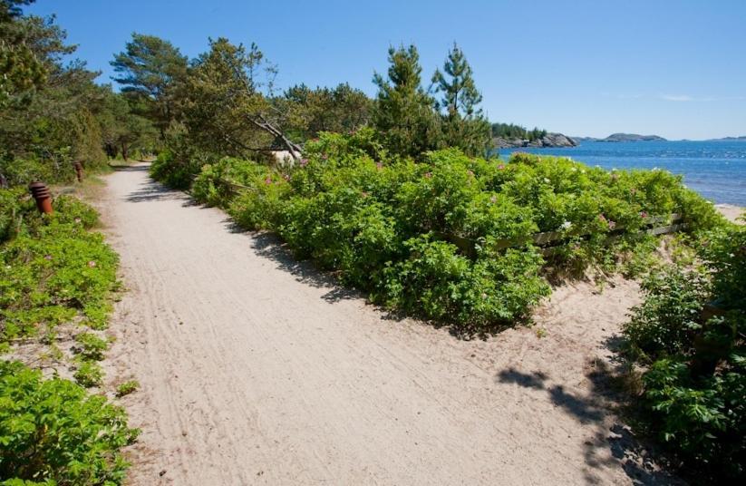 Leilighet Sjøsanden Ferietun